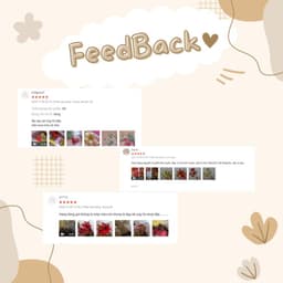 Hoa nhũ trạng nguyên trang trí oản Tết quà Tết - Bông trạng nguyên kép kim tuyến trang trí cây thông Noel - Xinh Decor 2