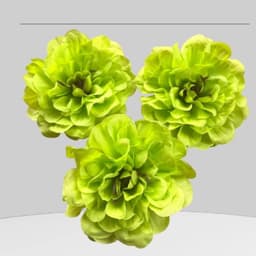 Combo 3 Đầu bông hoa hồng trà nhiều màu trang trí oản tài lộc, giỏ hoa quà hàng loại 1 - Xinh Decor 6