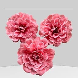 đầu bông hoa hồng trà, hoa lụa hoa giả trang trí oản tài lộc, giỏ hoa quà... - Xinh Decor 4