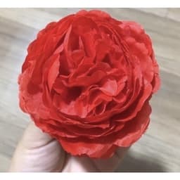 Sỉ đầu bông hoa trà MAO LƯƠNG 9cm  trang trí oản,hộp quà,trang trí mẹt tết.... - Xinh Decor 5