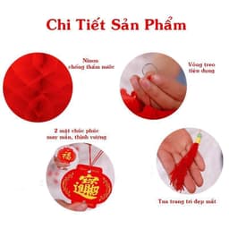 10 đèn lồng đỏ tổ ong mini nilong treo trang trí lễ Tết chống nước - Xinh Decor 3