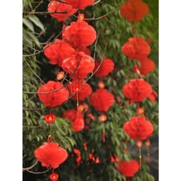 10 đèn lồng đỏ tổ ong mini nilong treo trang trí lễ Tết chống nước - Xinh Decor 4
