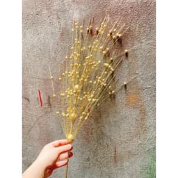 Cành châu xòe trang trí tháp tài lộc, cắm mâm ngũ quả, trang trí lọ hoa ngày tết - Xinh Decor 4