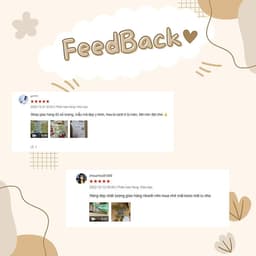 Cành châu xòe trang trí tháp tài lộc, cắm mâm ngũ quả, trang trí lọ hoa ngày tết - Xinh Decor 2