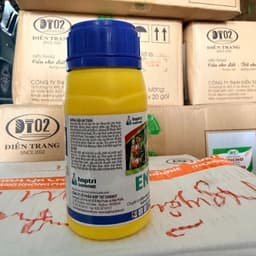 1 thùng 20 chai Envio 250SC Hợp Trí - Đặc Trị Đốm Nâu Thanh Long, Thán Thư Xoài 4