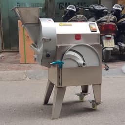 Máy Thái Rau Củ Quả Đa Năng YQC-802 – năng suất 300–500kg/giờ 2