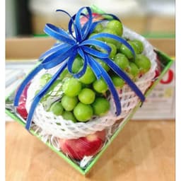 COMBO 10 KHAY GIẤY ĐỰNG HOA QUẢ NHẬP KHẨU 2