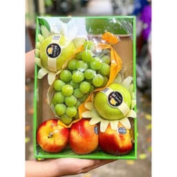 COMBO 10 KHAY GIẤY ĐỰNG HOA QUẢ NHẬP KHẨU 5