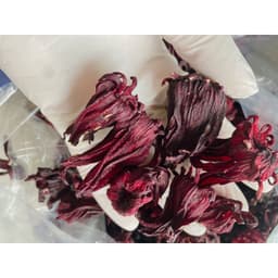 Trà Atiso đỏ, Hoa Dâm Bụt, Hibiscus loại 1 3