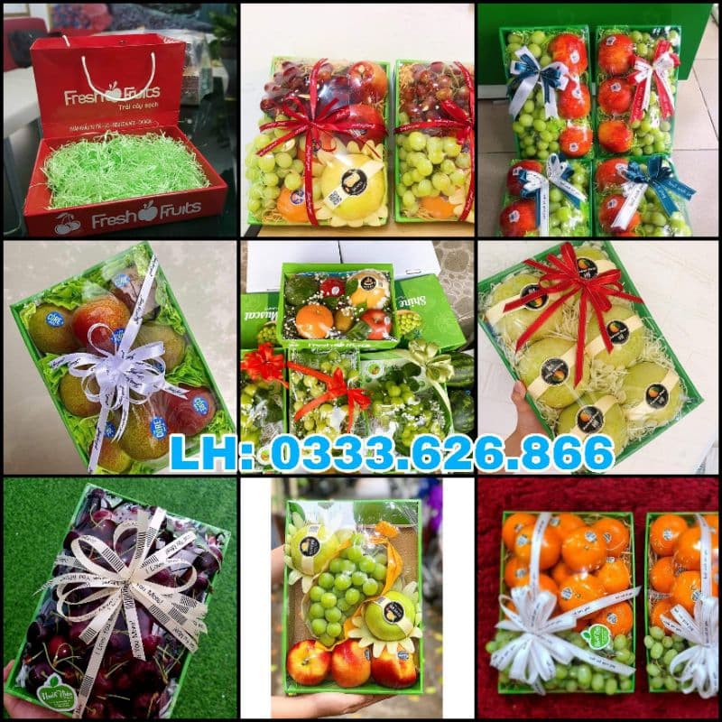 COMBO 10 KHAY GIẤY ĐỰNG HOA QUẢ NHẬP KHẨU