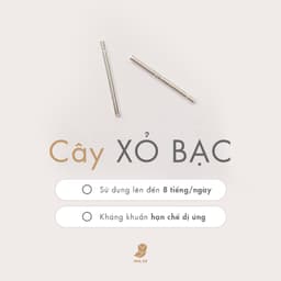 Bông Tai Nữ Đá Zircon Cz 5A Hình Đuôi Cá NHÀ CÚ Cây Xỏ Bạc 925 Nữ Tính Phong Cách Khuyên Tai Hàn Quốc 17934 4