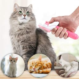 Lược chải lông thú cưng hình bầu dục, chải lông chó mèo có nút bấm tiện dụng 8