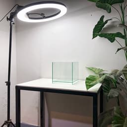 Bể Cubic 20 Nâng Đáy Kích Thước 20x20x20cm | RF Aquarium 2