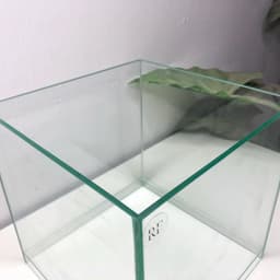Bể Cubic 20 Nâng Đáy Kích Thước 20x20x20cm | RF Aquarium 8