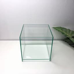 Bể Cubic 20 Nâng Đáy Kích Thước 20x20x20cm | RF Aquarium 9