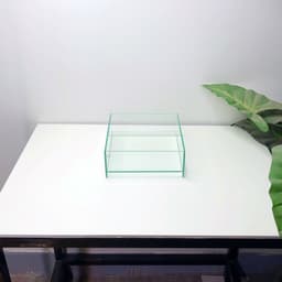 Bể Bán Cạn Mini 20x20x8cm Nâng Đáy 2cm | RF Aquarium 4
