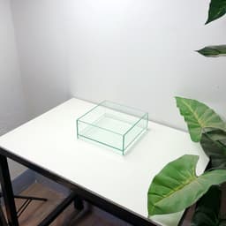 Bể Bán Cạn Mini 20x20x8cm Nâng Đáy 2cm | RF Aquarium 3