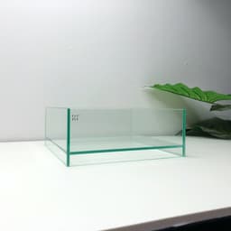 Bể Bán Cạn Mini 20x20x8cm Nâng Đáy 2cm | RF Aquarium 6