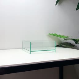 Bể Bán Cạn Mini 20x20x8cm Nâng Đáy 2cm | RF Aquarium 5
