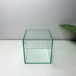 Bể Cubic15 Hồ Kính Mini Kích Thước 15x15x15cm | RF Aquarium 8