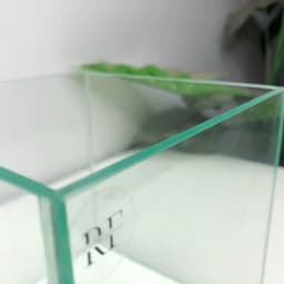 Bể Cubic15 Hồ Kính Mini Kích Thước 15x15x15cm | RF Aquarium 7