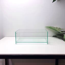 Bể Nâng Đáy Kích Thước 30x18x12cm Dáng Shallow Tank Dán Dấu Keo Mài Cạnh Vi Tính | RF Aquarium 4