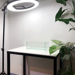 Bể Nâng Đáy Kích Thước 30x18x12cm Dáng Shallow Tank Dán Dấu Keo Mài Cạnh Vi Tính | RF Aquarium 2