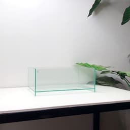 Bể Nâng Đáy Kích Thước 30x18x12cm Dáng Shallow Tank Dán Dấu Keo Mài Cạnh Vi Tính | RF Aquarium 5