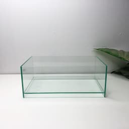 Bể Nâng Đáy Kích Thước 30x18x12cm Dáng Shallow Tank Dán Dấu Keo Mài Cạnh Vi Tính | RF Aquarium 8