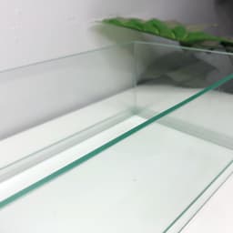Bể Nâng Đáy Kích Thước 30x18x12cm Dáng Shallow Tank Dán Dấu Keo Mài Cạnh Vi Tính | RF Aquarium 9