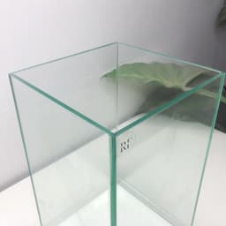 Bể Cá Mini Hình Trụ Đứng 15x15x25cm Nâng Đáy 2cm | RF Aquarium 7