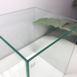 Bể Cá Mini 20x20x25cm Hình Trụ Đứng Mài Vi Tính Dán Dấu Keo | RF Aquarium 8