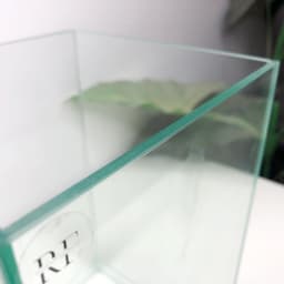Bể Cá Mini Hình Trụ Đứng 15x15x25cm Nâng Đáy 2cm | RF Aquarium 8