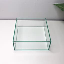 Bể Bán Cạn, Terrarium Nhỏ 20x20x8cm | RF Aquarium 4