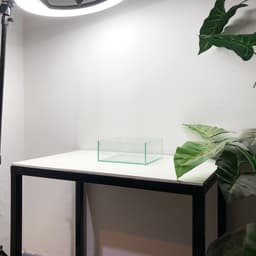Bể Bán Cạn, Terrarium Nhỏ 20x20x8cm | RF Aquarium 2