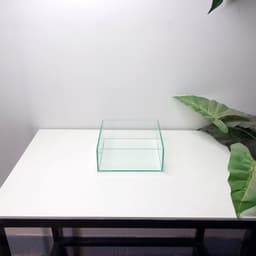 Bể Bán Cạn, Terrarium Nhỏ 20x20x8cm | RF Aquarium 6