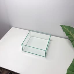 Bể Bán Cạn, Terrarium Nhỏ 20x20x8cm | RF Aquarium 3