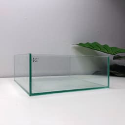 Bể Bán Cạn, Terrarium Nhỏ 20x20x8cm | RF Aquarium 8