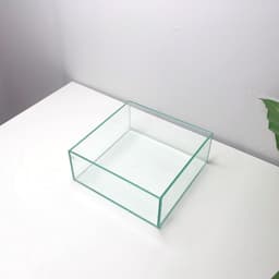 Bể Bán Cạn, Terrarium Nhỏ 20x20x8cm | RF Aquarium 7