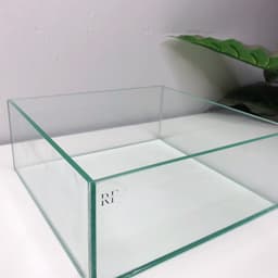 Bể Bán Cạn, Terrarium Nhỏ 20x20x8cm | RF Aquarium 9