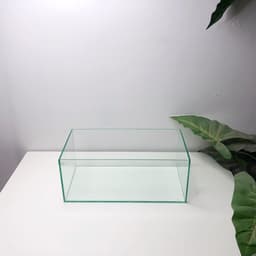 Bể Kính Hồ Cá Shallow Tank Kích Thước 34x18x14cm | RF Aquarium 4