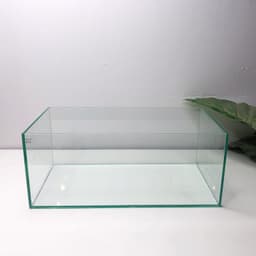 Bể Kính Hồ Cá Shallow Tank Kích Thước 34x18x14cm | RF Aquarium 7
