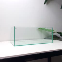 Bể Kính Hồ Cá Shallow Tank Kích Thước 34x18x14cm | RF Aquarium 5