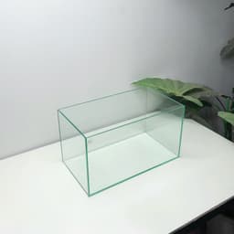 Bể Kính Thuỷ Sinh Mini Kích Thước 30x17x17cm Trang Trí Bàn Làm Việc | RF Aquarium 5