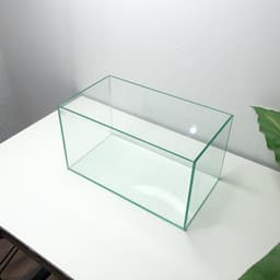 Bể Kính Thuỷ Sinh Mini Kích Thước 30x17x17cm Trang Trí Bàn Làm Việc | RF Aquarium 4