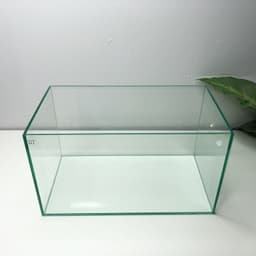 Bể Kính Thuỷ Sinh Mini Kích Thước 30x17x17cm Trang Trí Bàn Làm Việc | RF Aquarium 9