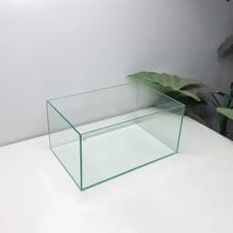 Bể Cá Mini 30x20x15cm Để Bàn Làm Việc | RF Aquarium 7