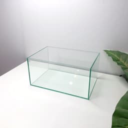 Bể Cá Mini 30x20x15cm Để Bàn Làm Việc | RF Aquarium 4