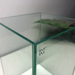Bể Cá Betta Hình Trụ Đứng Kích Thước 14x14x20cm | Kính Việt Nhật Dán Dấu Keo | RF Aquarium 6