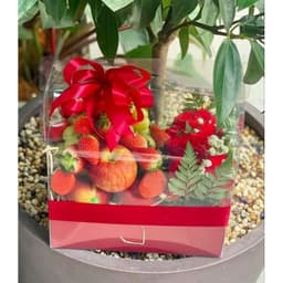 Túi Đựng Giỏ Hoa Quả,  Quà Tặng, Giỏ Trái Cây, Hộp quà tặng sang xịn 9